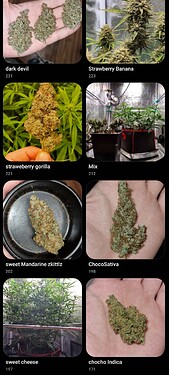 Growreport Bild 11