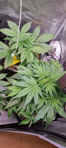 WhatsApp Image 2025-12-16 at 12.54.00 (4)