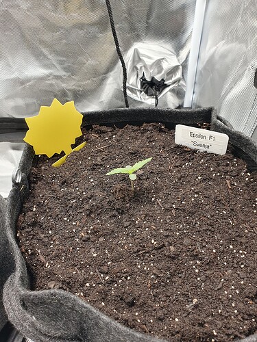 Growreport Bild 10