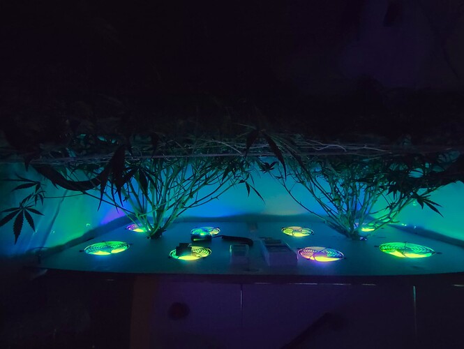 Growreport Bild 12