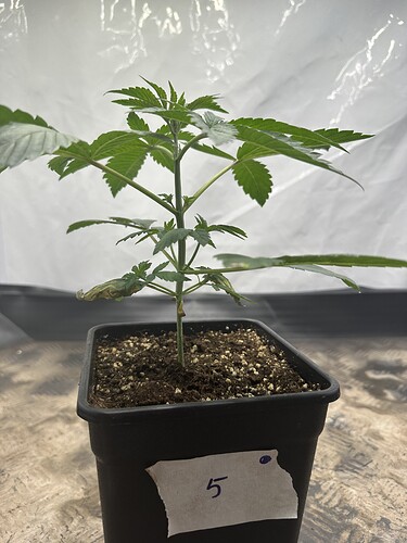 Growreport Bild 14