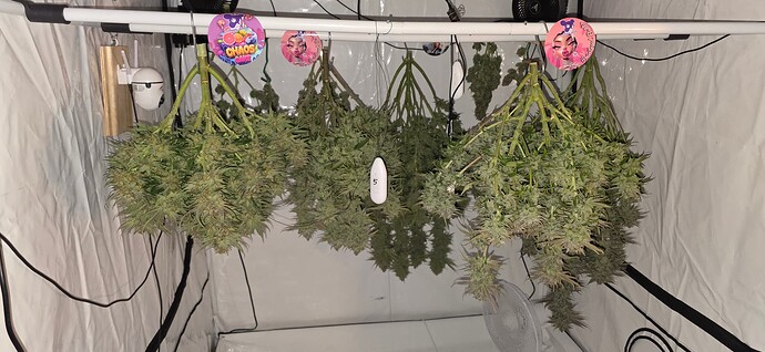 Growreport Bild 9