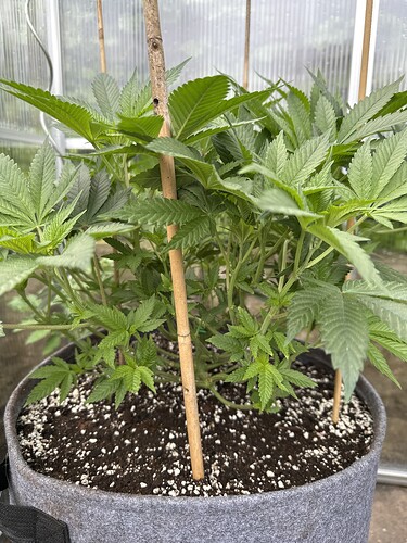 Growreport Bild 16