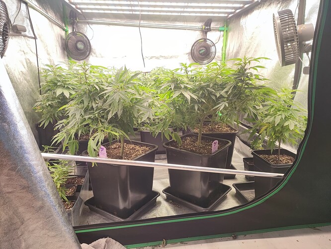Growreport Bild 4