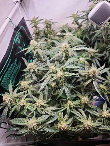 MVIMG_20251105_164438