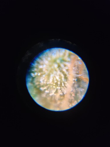 Growreport Bild 25