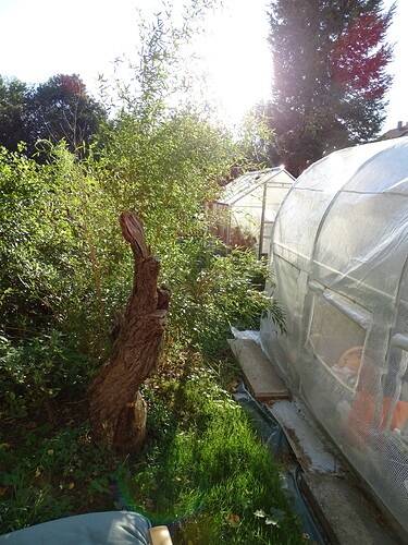 Growreport Bild 43