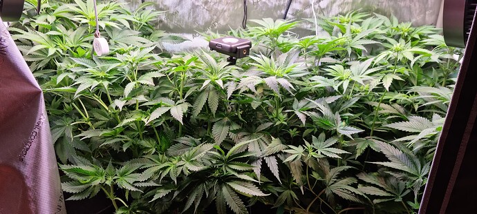 Growreport Bild 16