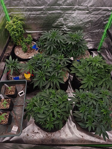 Growreport Bild 24