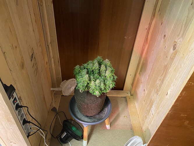 Growreport Bild 42