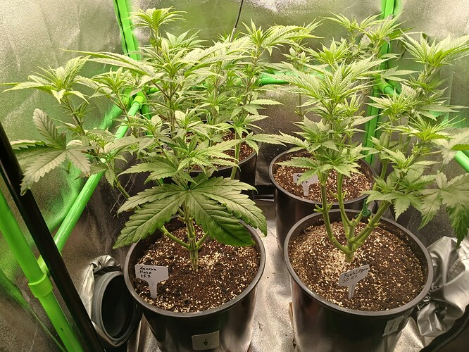 Growreport Bild 21
