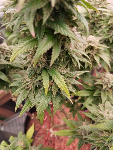 Growreport Bild 11