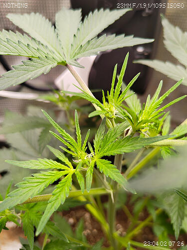 Growreport Bild 2