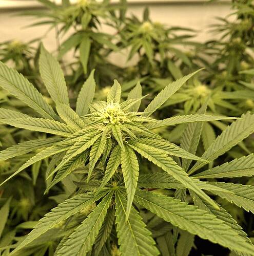 475302421_122165273582293599_891479787548651426_n