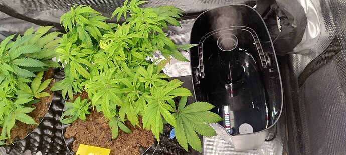 IMG_20251020_145238628_HDR