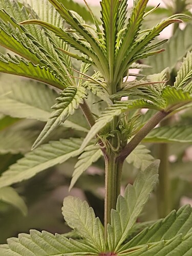 Growreport Bild 16