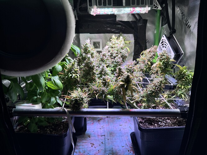 Growreport Bild 1
