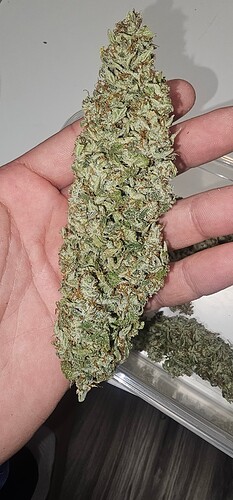 Growreport Bild 3