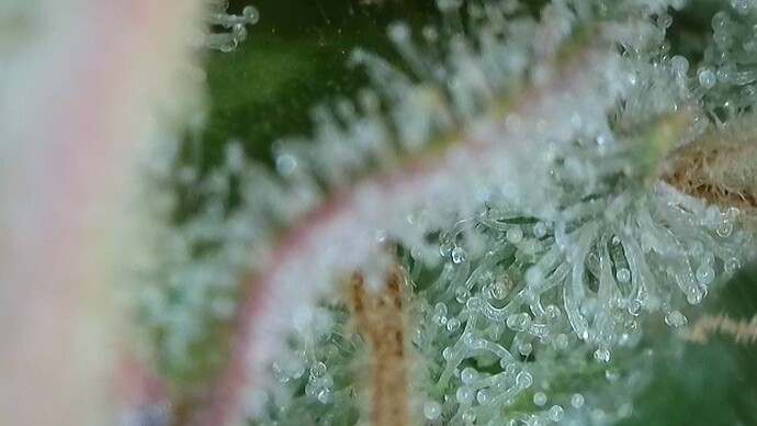 Growreport Bild 25