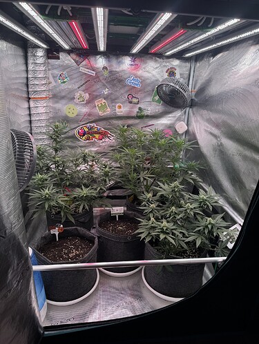 Growreport Bild 22