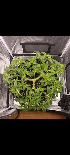 Growreport Bild 8