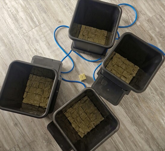 Growreport Bild 4