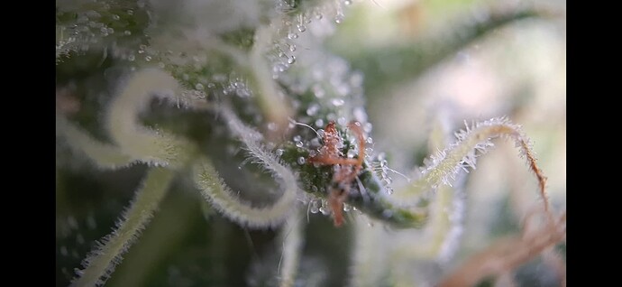 Growreport Bild 17