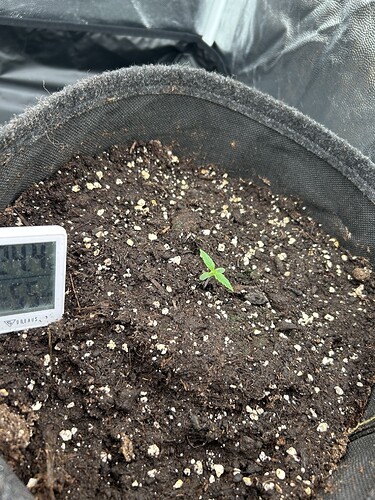 Growreport Bild 4