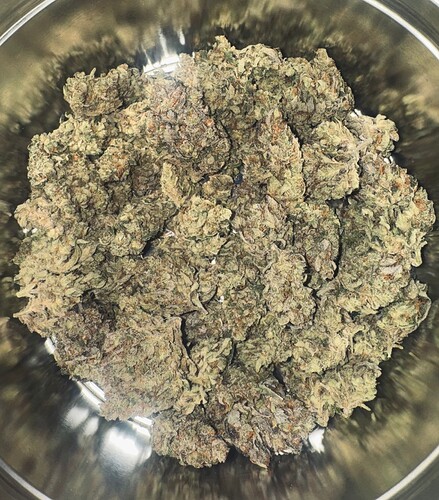 Growreport Bild 58