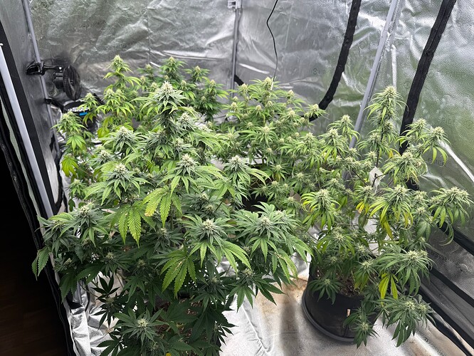 Growreport Bild 2