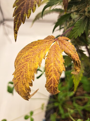 Growreport Bild 12