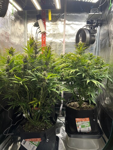 Growreport Bild 8