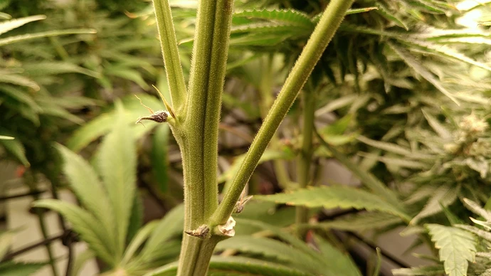 Growreport Bild 11