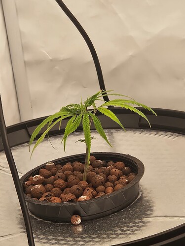 Growreport Bild 35