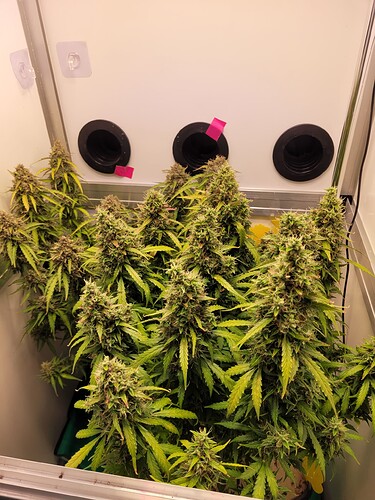 Growreport Bild 7