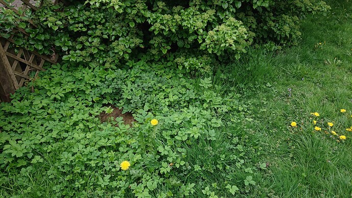 Growreport Bild 1