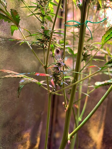Growreport Bild 10