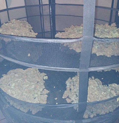 Growreport Bild 1