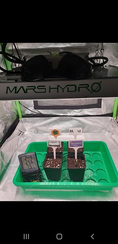 Growreport Bild 2