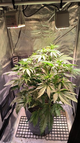 Growreport Bild 1