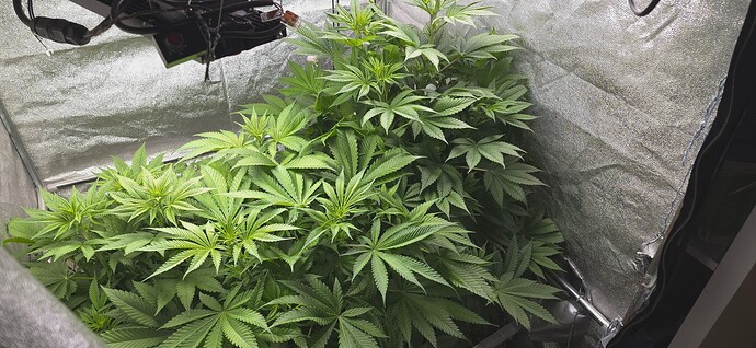 Growreport Bild 7