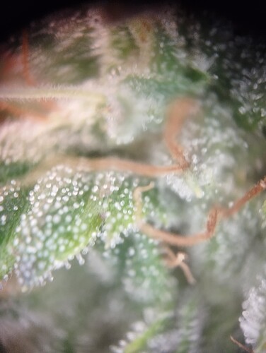 Growreport Bild 14
