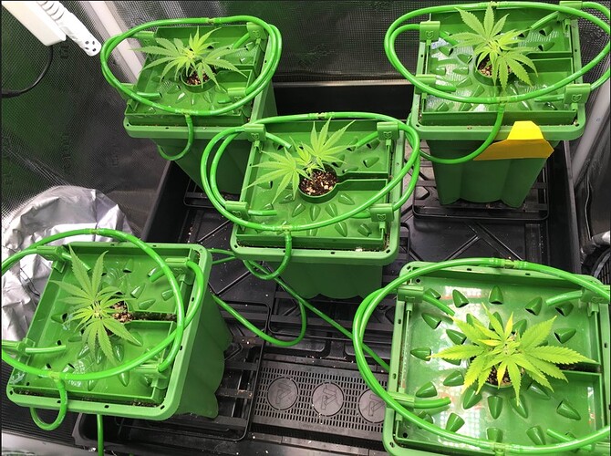 Screenshot 2024-11-13 075200