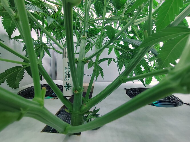Growreport Bild 10