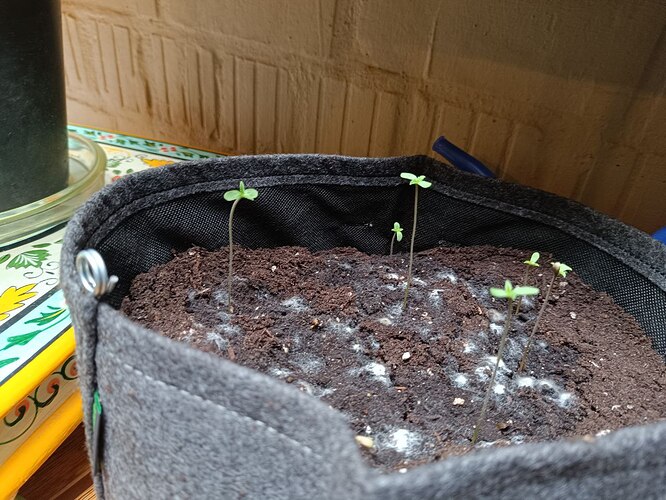 photo_5220064472754935351_y