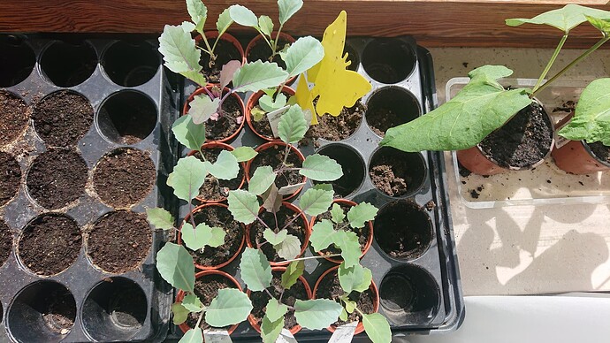 Growreport Bild 10