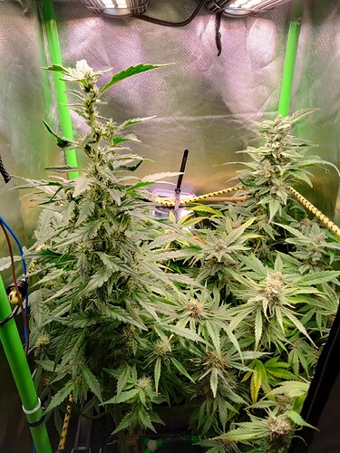 Growreport Bild 9