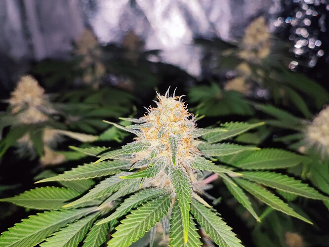 Growreport Bild 18