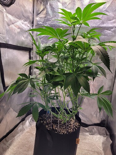Growreport Bild 18