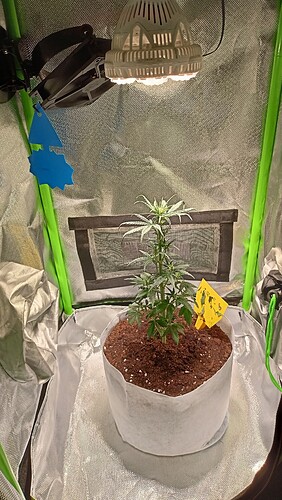Growreport Bild 4